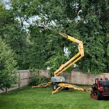 Best Grass Overseeding  in Rexland Acres, CA